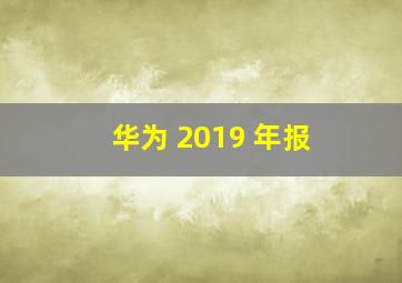 华为 2019 年报